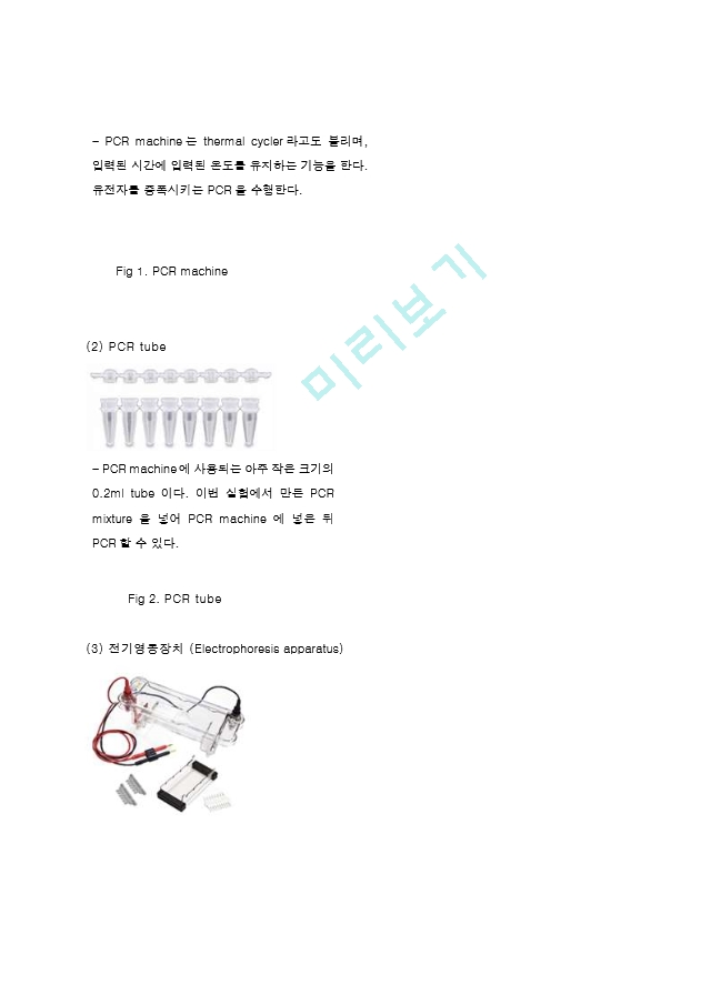 중합효소연쇄반응 PCR (Polymerase Chain Reaction) 결과레포트 [A＋].hwp